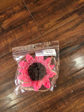 Load image into Gallery viewer, Car freshies