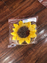 Load image into Gallery viewer, Car freshies