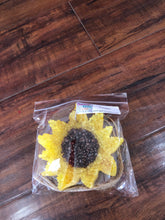 Load image into Gallery viewer, Car freshies